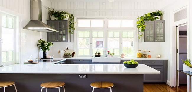 chuyen-nha-kien-vang