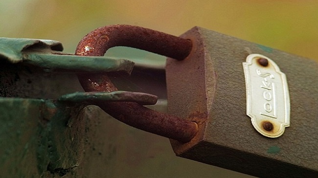 chuyen-nha-kien-vang