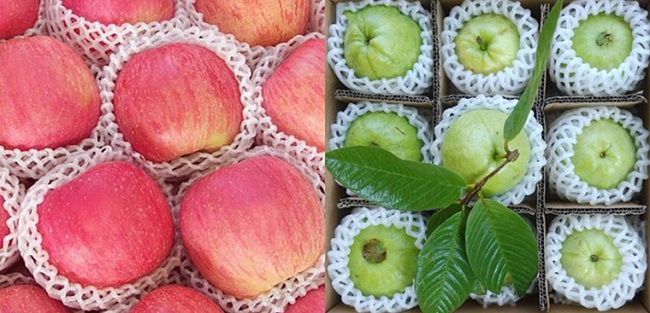 chuyen-nha-kien-vang