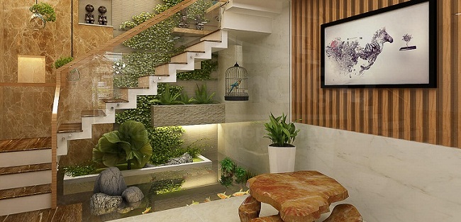 chuyen-nha-kien-vang