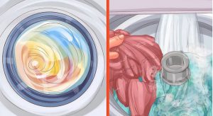 chuyen-nha-kien-vang