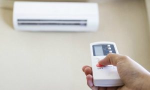 chuyen-nha-kien-vang