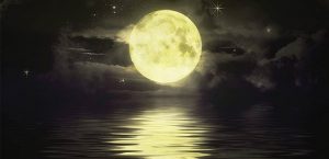 chuyen-nha-kien-vang