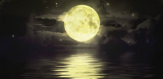 chuyen-nha-kien-vang