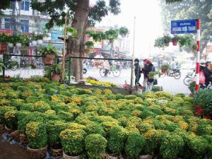 Chuyển nhà và văn phòng đường hoàng hoa thám, hà nội